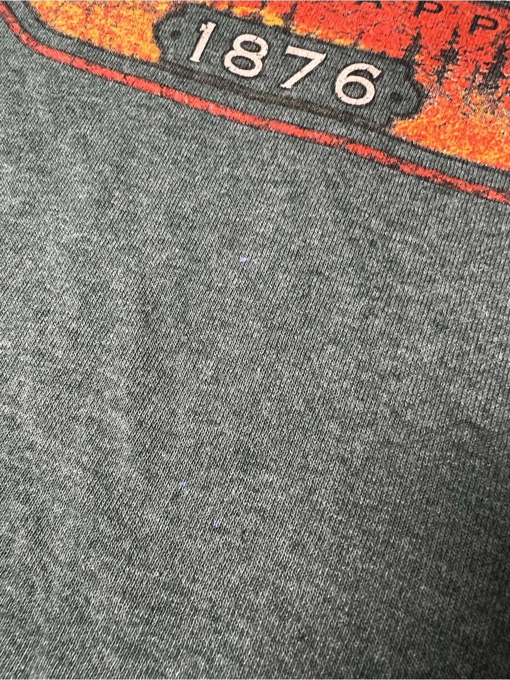 Delta Pro Wear Colorado Rocky Mountains 1876 Graphic Tee‎